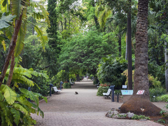 VENTA DEL EDIFICIO PARA HACER UN APARTHOTEL A ESTRENAR EN PLENO BOTANICO DE VALENCIA
